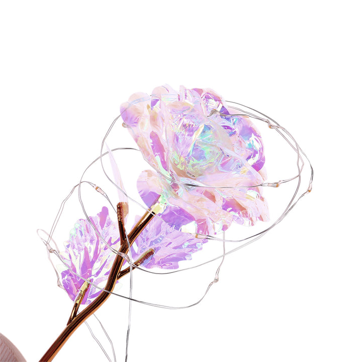 Enchanted Rose Lamp In Glass Dome With Warm LED Base