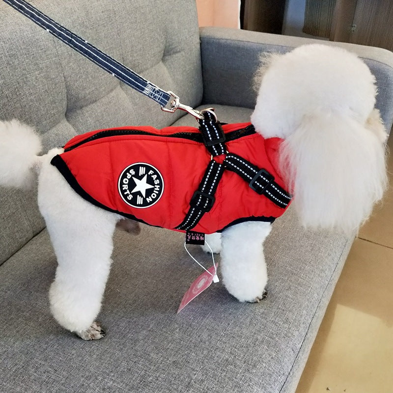 Dog wearing a waterproof padded coat