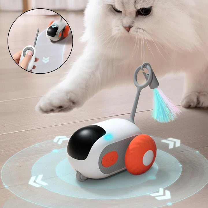 Remote control car cat toy with feather