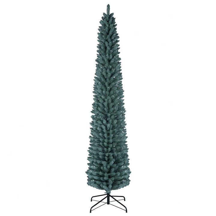 Tall frosted silver-green pencil tree
