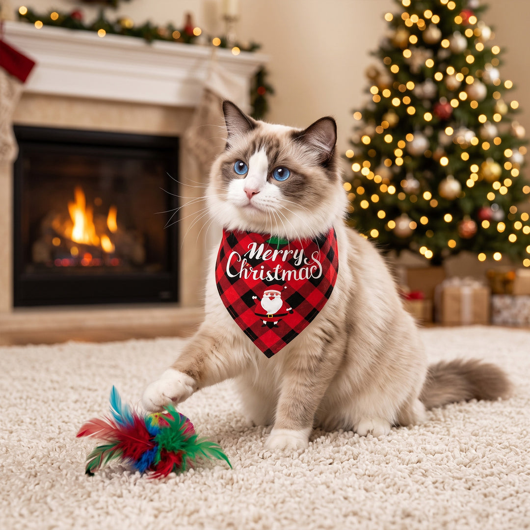 Christmas advent calendar for cats with toys