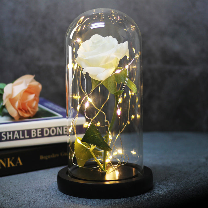 Enchanted Rose Lamp In Glass Dome With Warm LED Base
