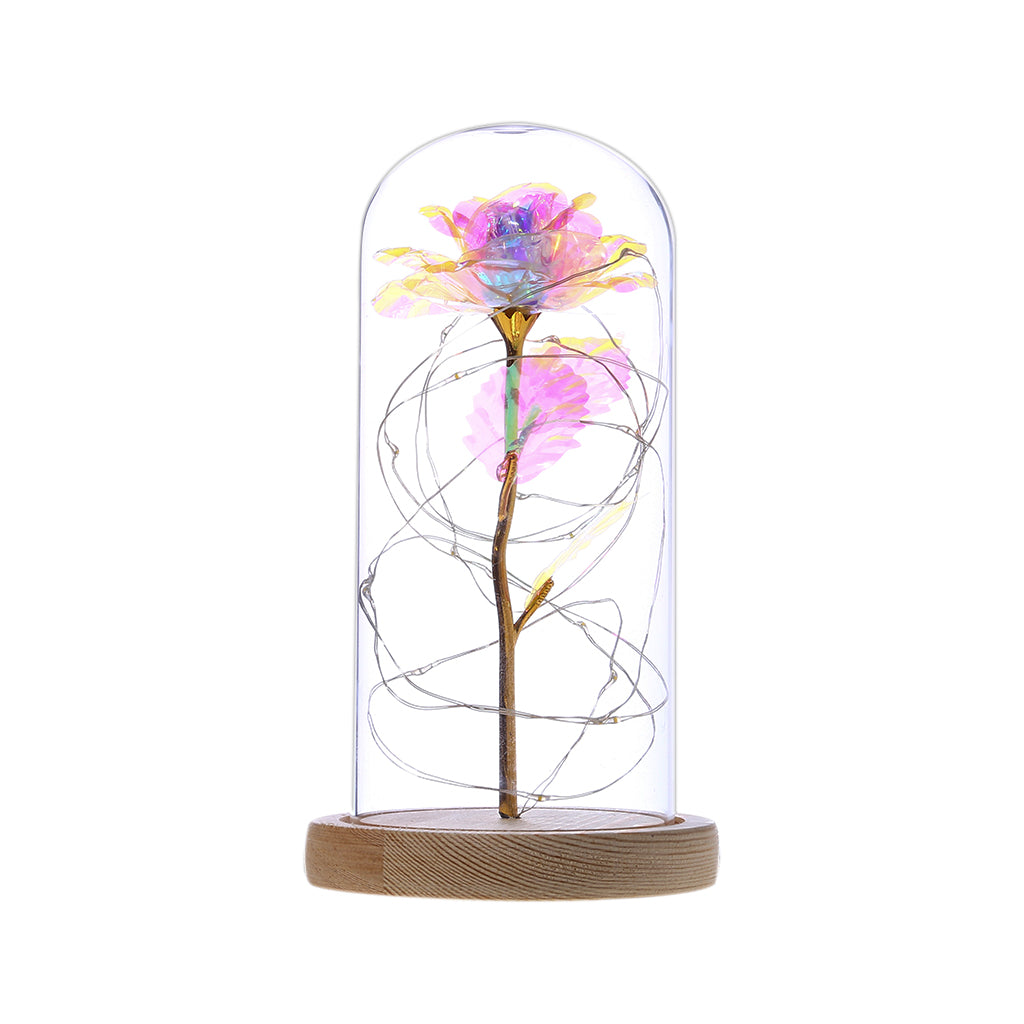 Enchanted Rose Lamp In Glass Dome With Warm LED Base