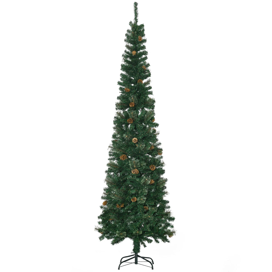 Tall slim tree with pine cones