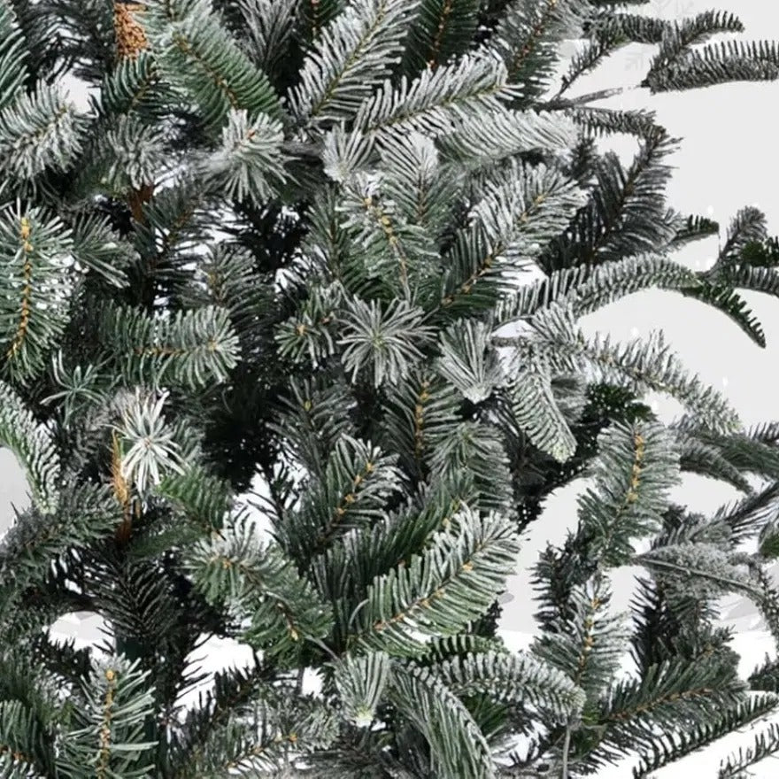 Lightly frosted Aspen fir tree, 7ft