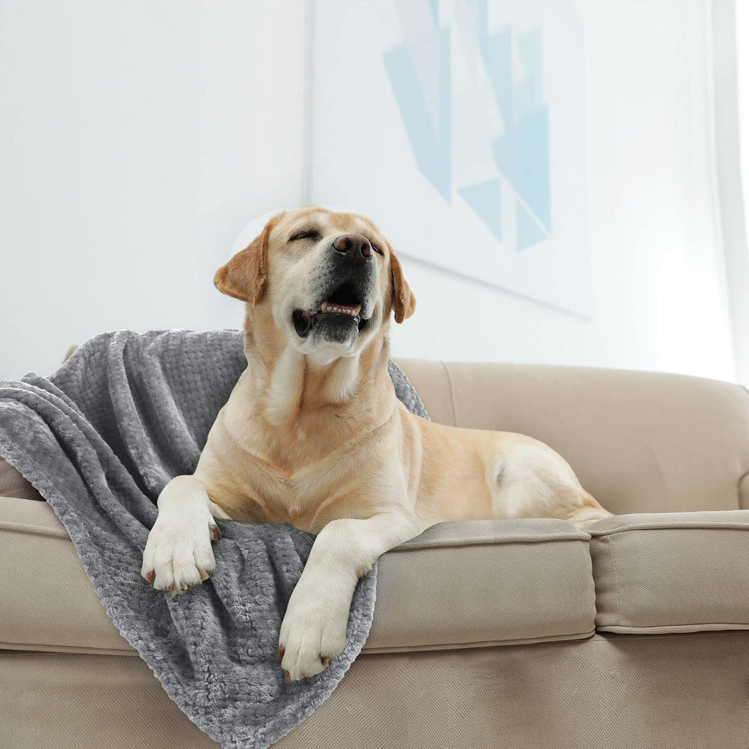 Ultra-Soft Plush Throw Blanket