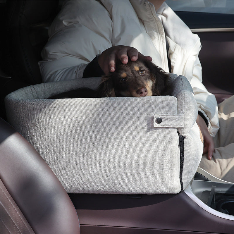 Small dog in armrest car seat