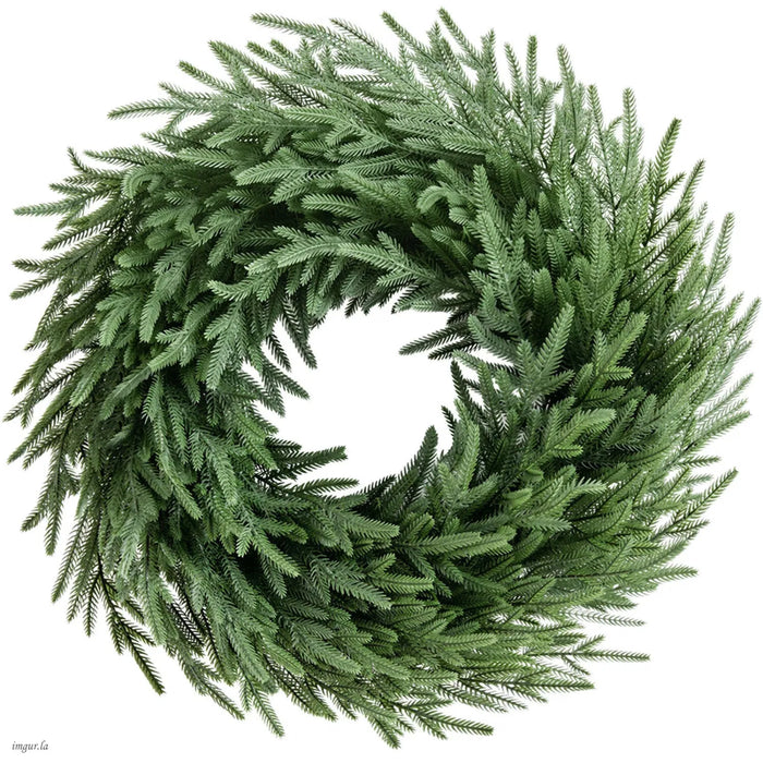 Snugleigh Norfolk Pine Christmas Wreath on Vine Base, 66 cm