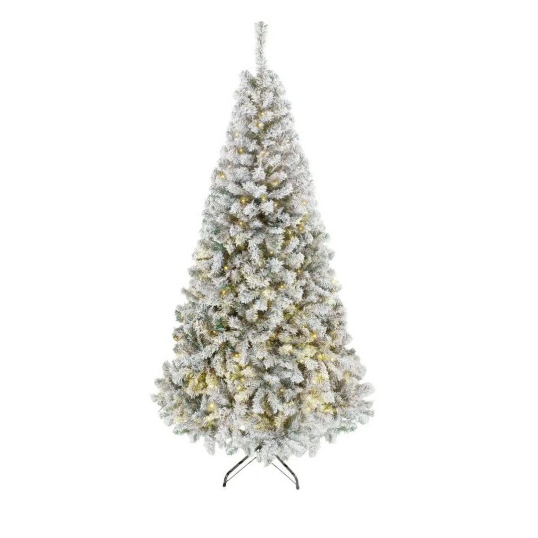 Flocked Fraser fir with warm lights
