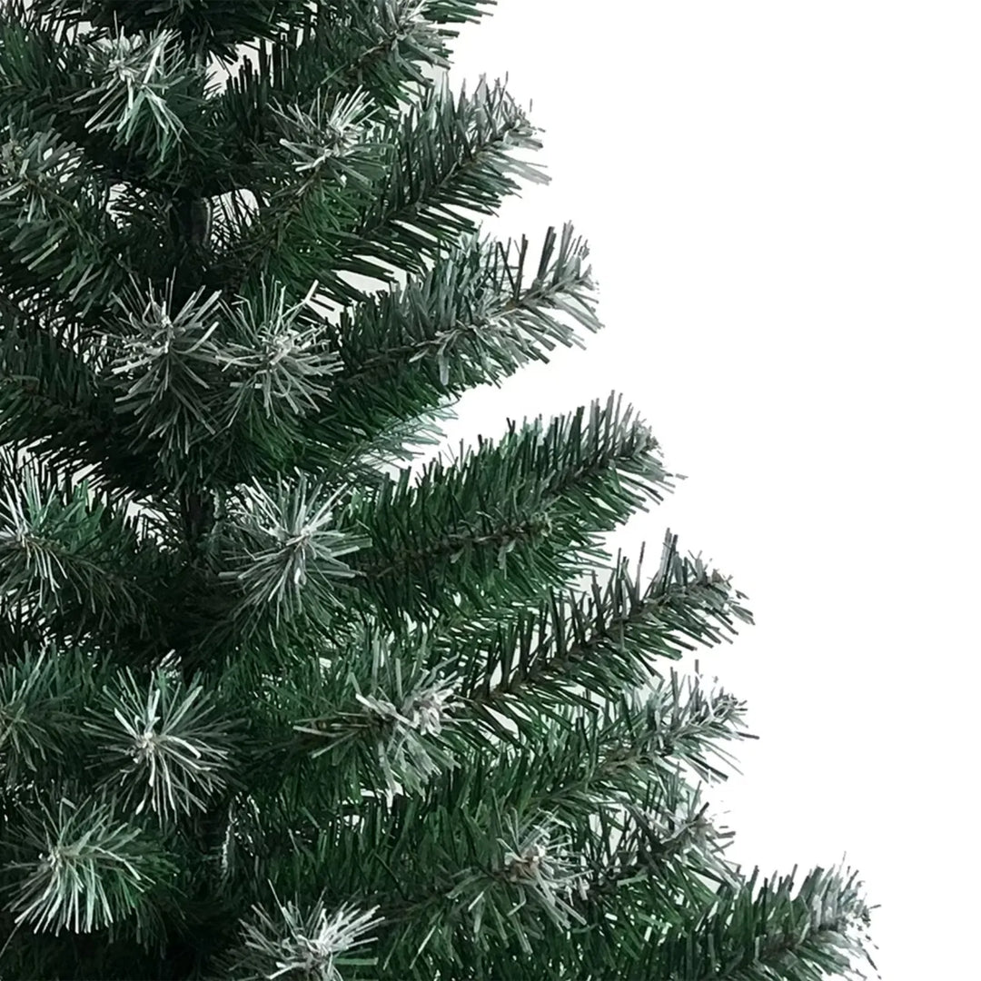 Light green tree with white branch tips