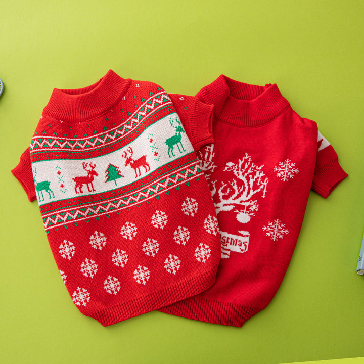 Small dog in knitted Christmas jumper
